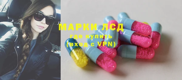 прущие грибы Бугульма