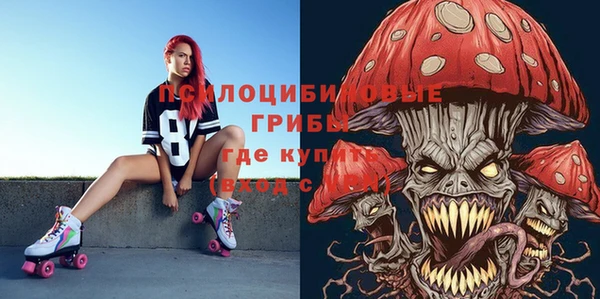 MDMA Premium VHQ Богородицк