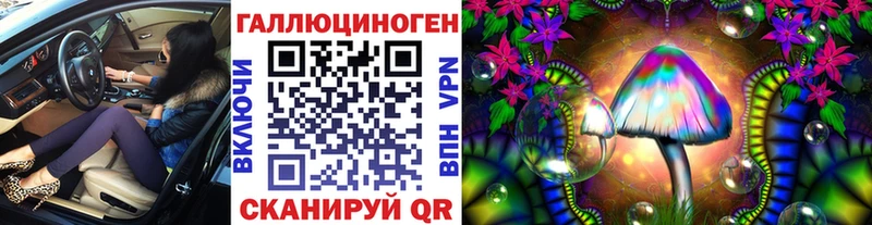 цена   Духовщина  Псилоцибиновые грибы Psilocybe 